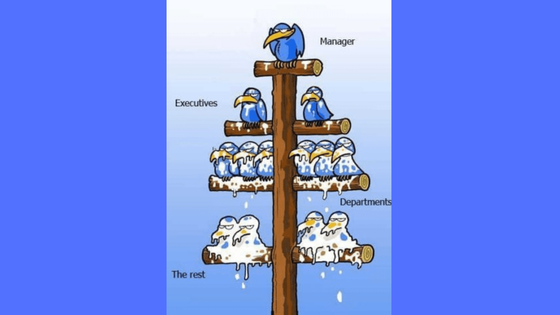 Microsoft 365 Migration