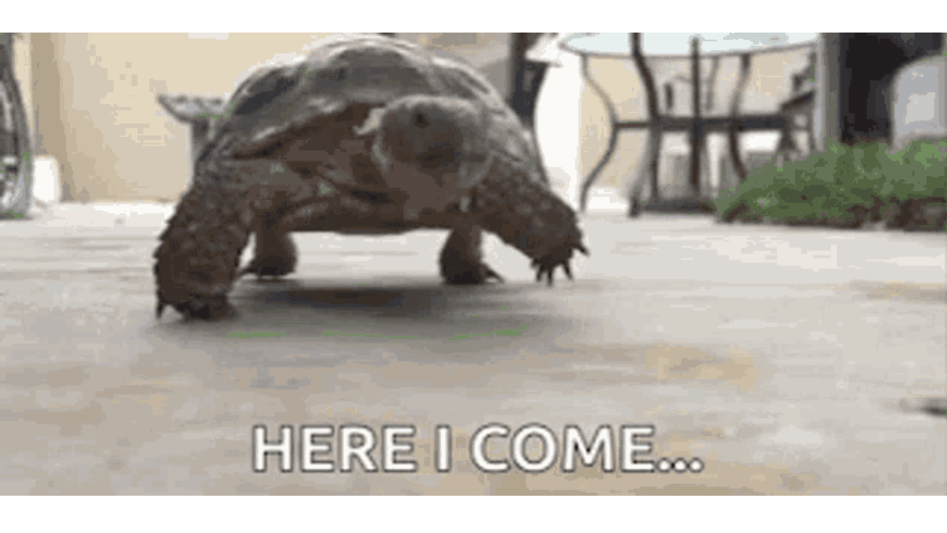 Microsoft 365 Migration