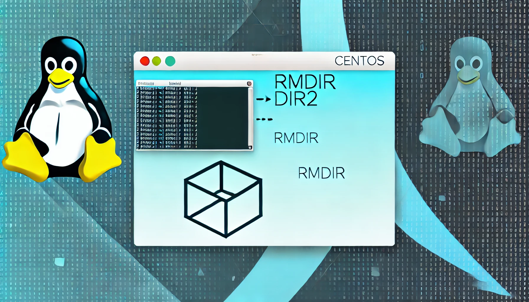 How to Delete Files and Directories in CentOS?