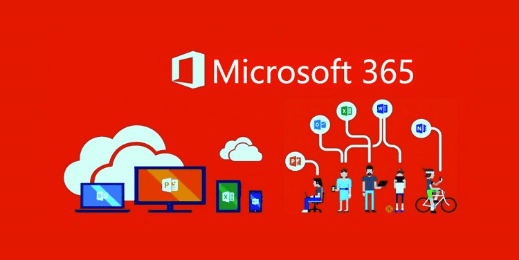 Connect Your Custom Domain to Microsoft 365