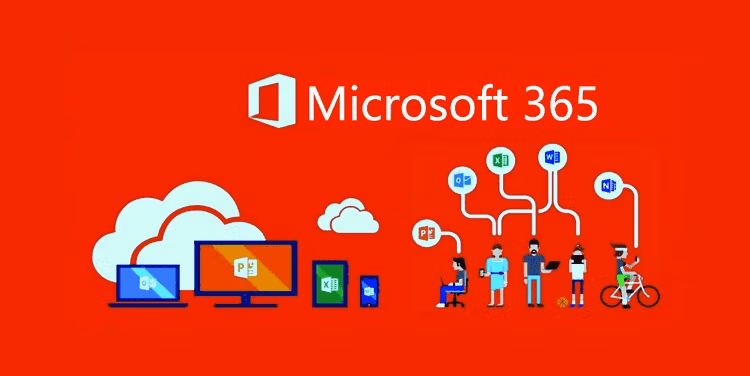 Connect Your Custom Domain to Microsoft 365